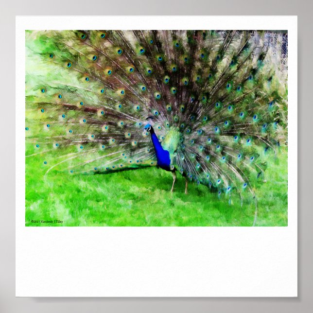 Al mostrar impresión (Frente)