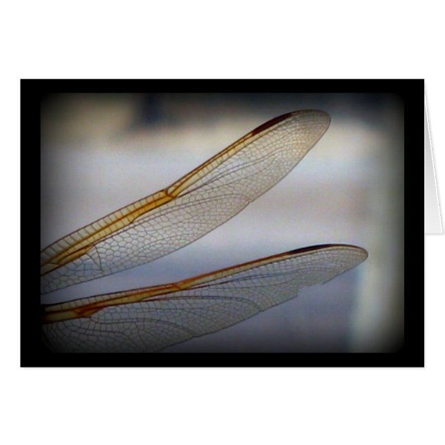 Ala de libélula Macro (Anverso (Horizontal))