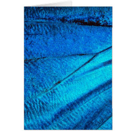 Ala de mariposa azul irlandés