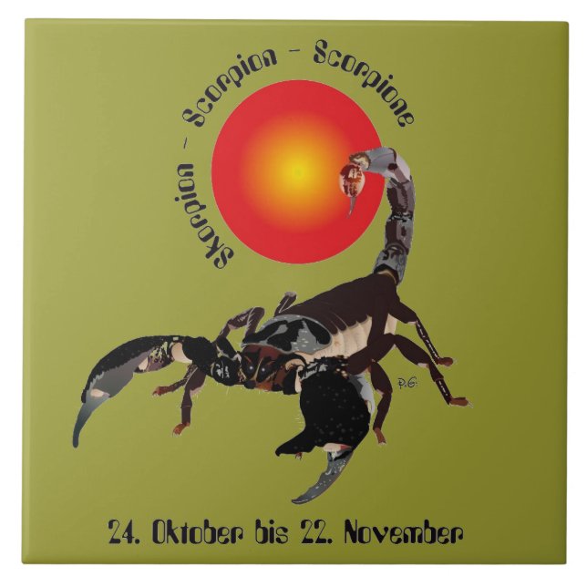 Alacrán cerámica baldosa de foto (Frente)