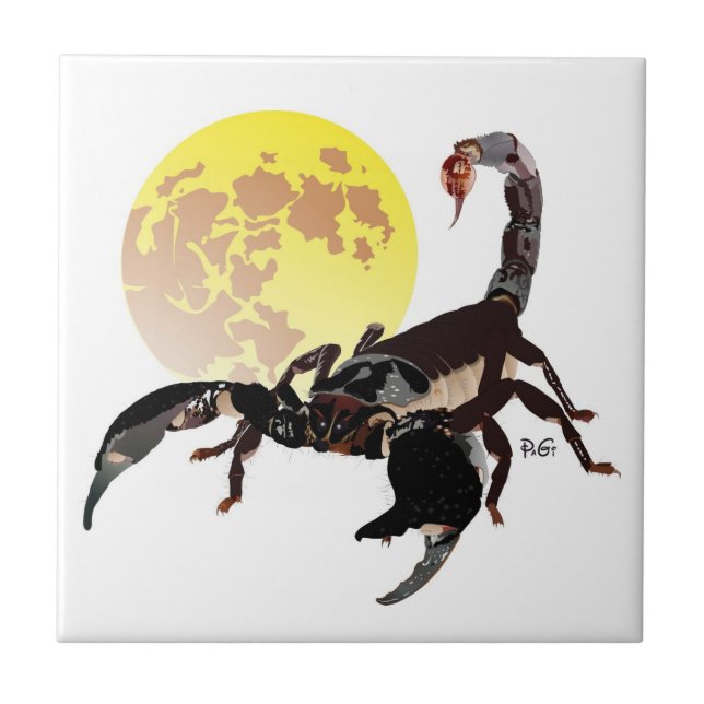 Alacrán cerámica baldosa de foto (Frente)