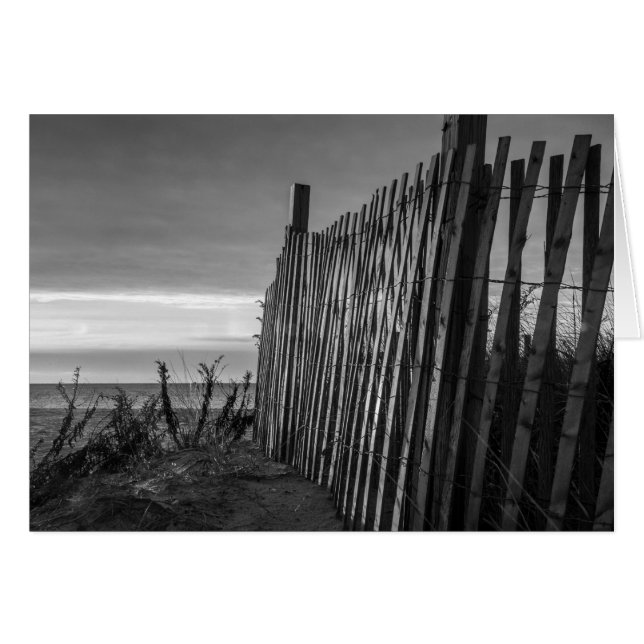 Alambre de playa en blanco y negro (Anverso (Horizontal))
