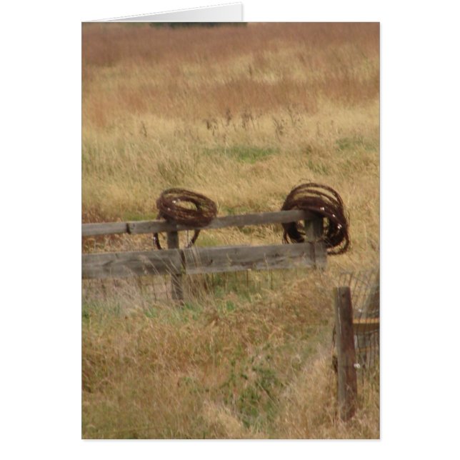 Alambre de púas (Frente)