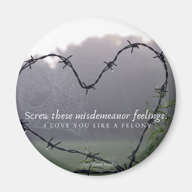 Alambre de púas de imán circular (Frente)