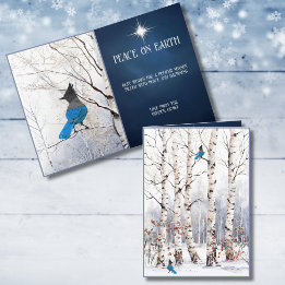 Álamos temblones de invierno con tarjeta de Navida