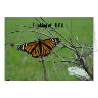 Alas abiertas de Monach, pensando en "USTED "