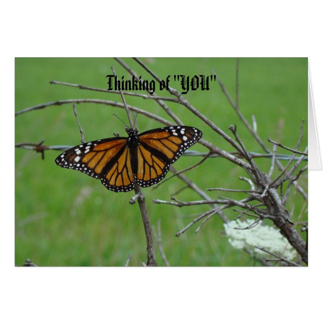 Alas abiertas de Monach, pensando en "USTED " (Anverso (Horizontal))