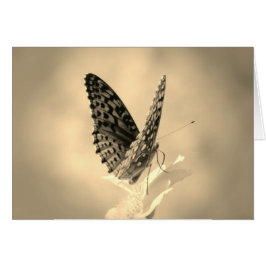 Alas arriba - Mariposa Fritillary en sepia