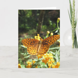 Alas de curiosidad (3) Tarjeta de felicitación