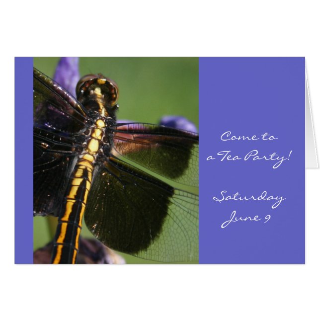 Alas de la libélula (Anverso (Horizontal))