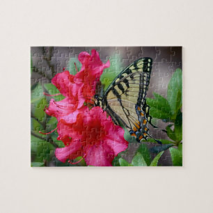 Alas Del Rompecabezas Maravilloso