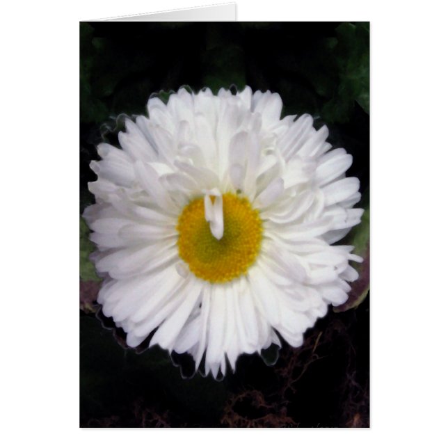 Alas del verano (Frente)