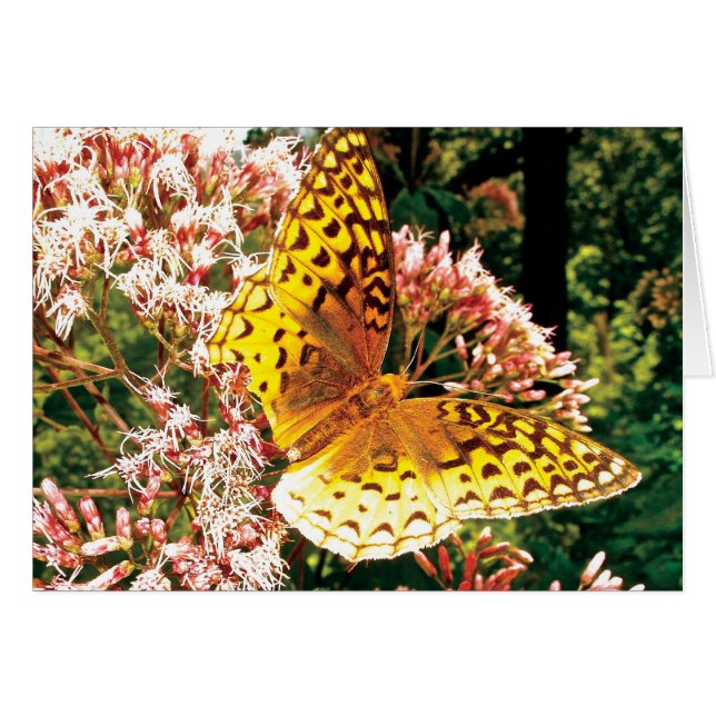 Alas doradas (Anverso (Horizontal))