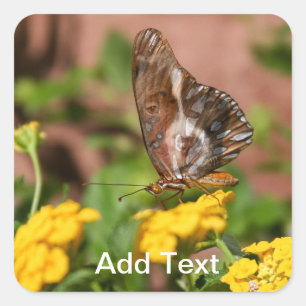 Alas monarcas - Pegatinas de perros y mariposas