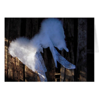 Alas y cordón - tarjeta en blanco