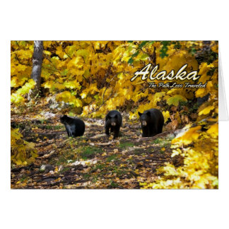Alaska El Camino Menos Viajado