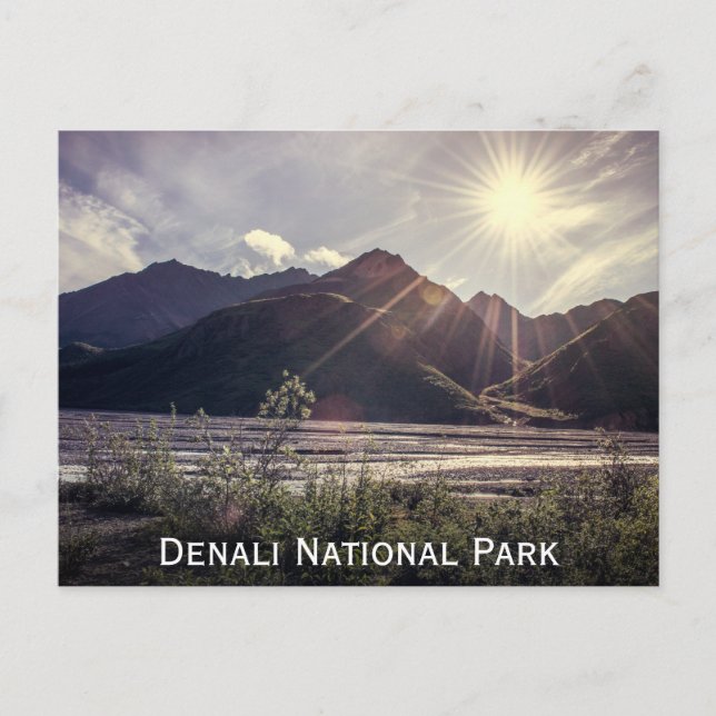 Alaska Sunbeams | Postal (Anverso)