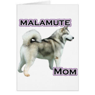 Alaskan Malamute Mom 4
