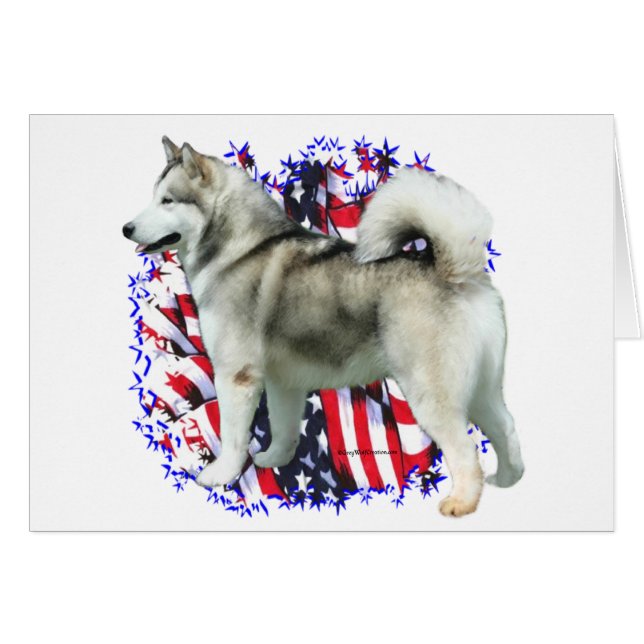 Alaskan Malamute Patriot (Anverso (Horizontal))