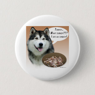 Alaskan Malamute Turquía - botón