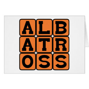 Albatros, gran ave marina