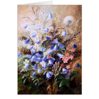Albert Dürer Lucas: Harebells y Centaury