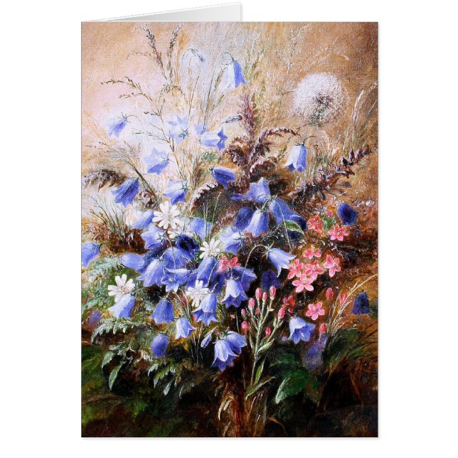 Albert Dürer Lucas: Harebells y Centaury (Frente)