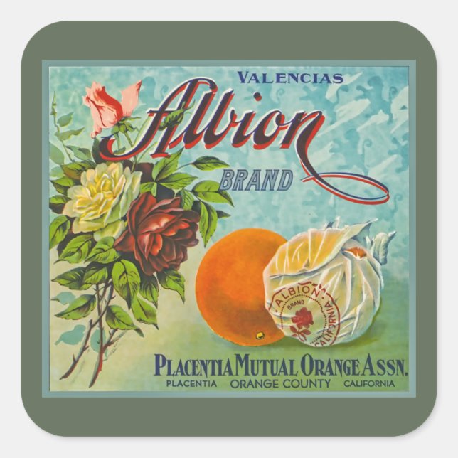 Albion Naranjas Etiqueta de tasa de fruta (Anverso)