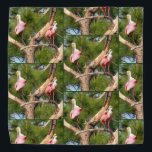 Albornoz Roseate - Bandana - Tld<br><div class="desc">Albornoz Roseate - Bandana - Tld</div>