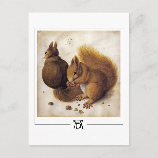 Albrecht Dürer #56 - Postales Bellas Artes (Anverso)