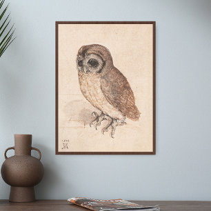 Albrecht Durer El Arte De La Lechuza