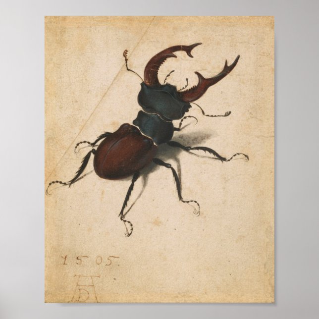 Albrecht Durer Stag Beetle Arte de época renacenti (Frente)