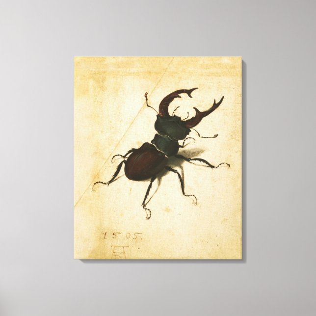 Albrecht Durer Stag Beetle Arte de época renacenti (Anverso)