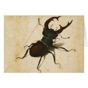 Albrecht Durer Stag Beetle Arte de época renacenti