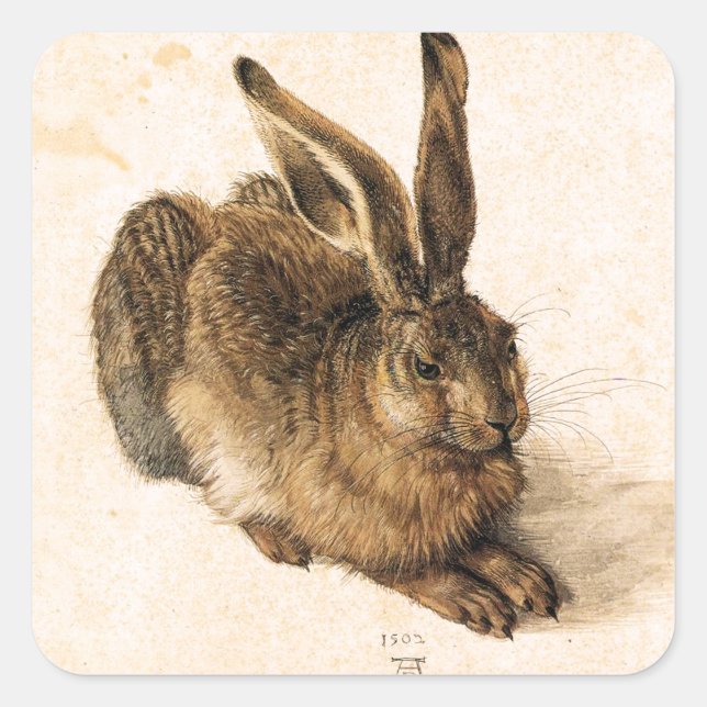 Albrecht Durer Young Hare Pegatinas (Anverso)
