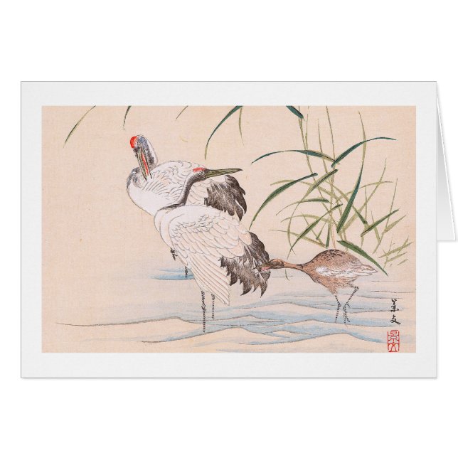 Álbum del pájaro y de la flor, vadeando arte del (Anverso (Horizontal))