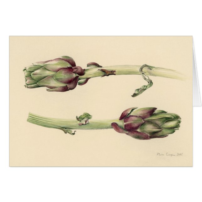 Alcachofas 2005 (Anverso (Horizontal))