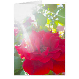 Alcance para el Sun (5)