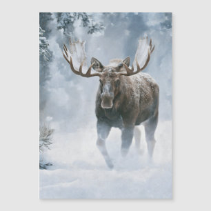 Alce Macho Caminando a Través de la Nieve Boreal