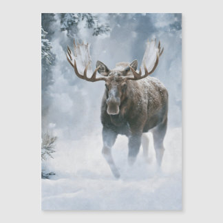 Alce Macho Caminando a Través de la Nieve Boreal