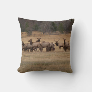 Alce reversible sobre una almohada