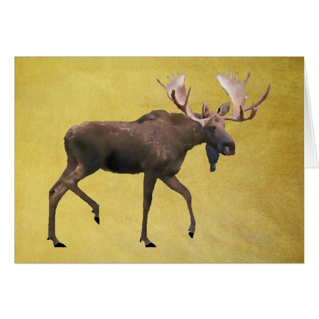 Alce Toro (Anverso (Horizontal))