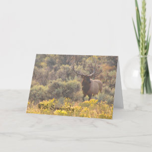 Alces de Bull del otoño con la tarjeta de encargo