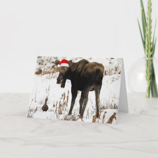 Alces del navidad con la tarjeta del día de fiesta