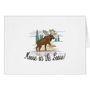 ¡Alces en el flojo!