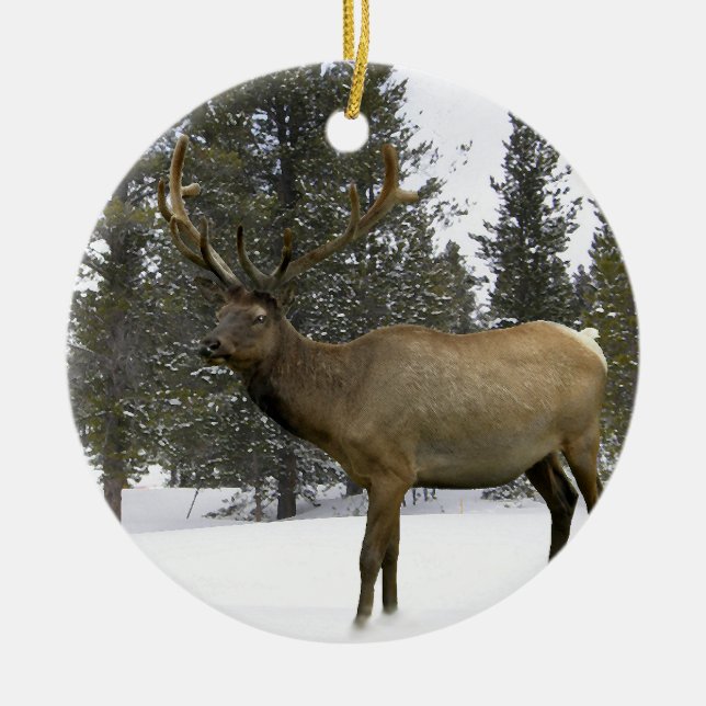 Alces en el ornamento del invierno (Frente)