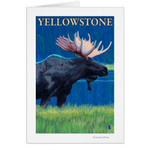 Alces en la noche - parque nacional de Yellowstone