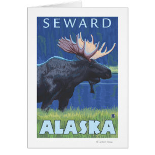 Alces en la noche - Seward, Alaska
