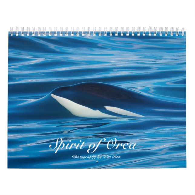 Alcohol del calendario de las orcas de la orca (Tapa)