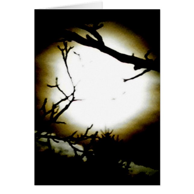 Alcohol ilegal (Frente)